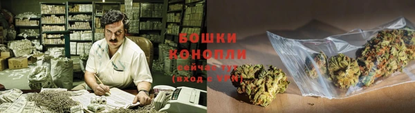 индика Нязепетровск