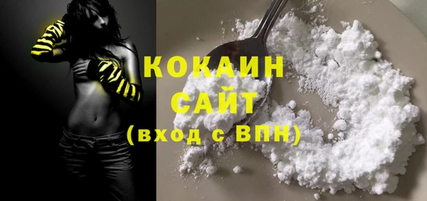эйфоретик Няндома