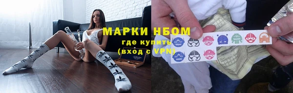 индика Нязепетровск
