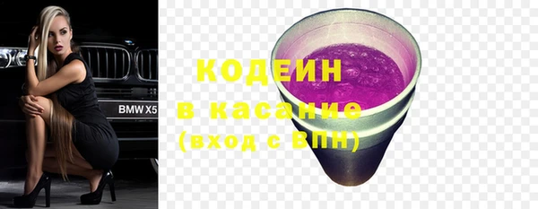 индика Нязепетровск