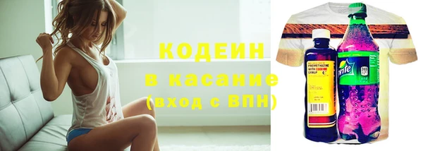 индика Нязепетровск