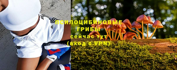 эйфоретик Абаза