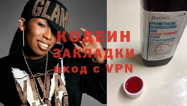эйфоретик Няндома