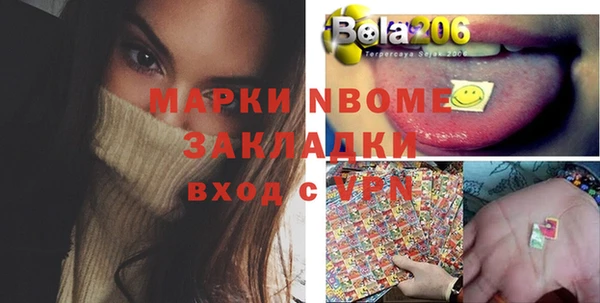 эйфоретик Няндома
