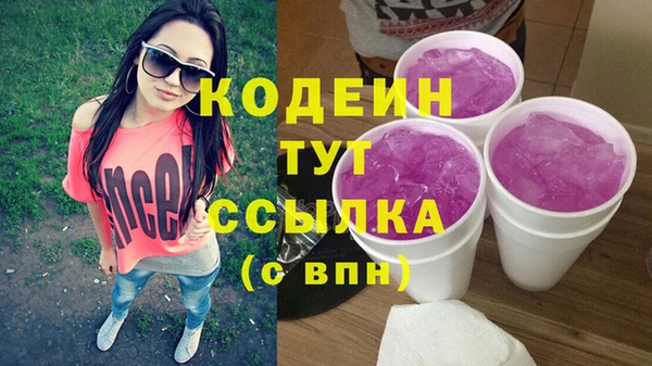 эйфоретик Няндома