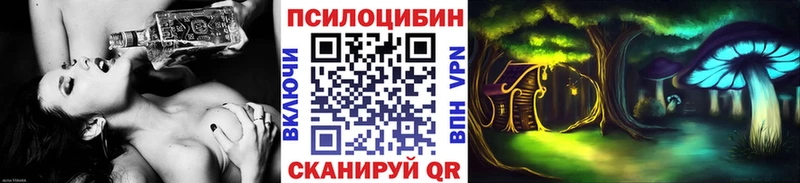 закладки  mega вход  Псилоцибиновые грибы ЛСД  Отрадное 